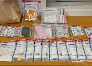 Home - Scioto Valley Guardian