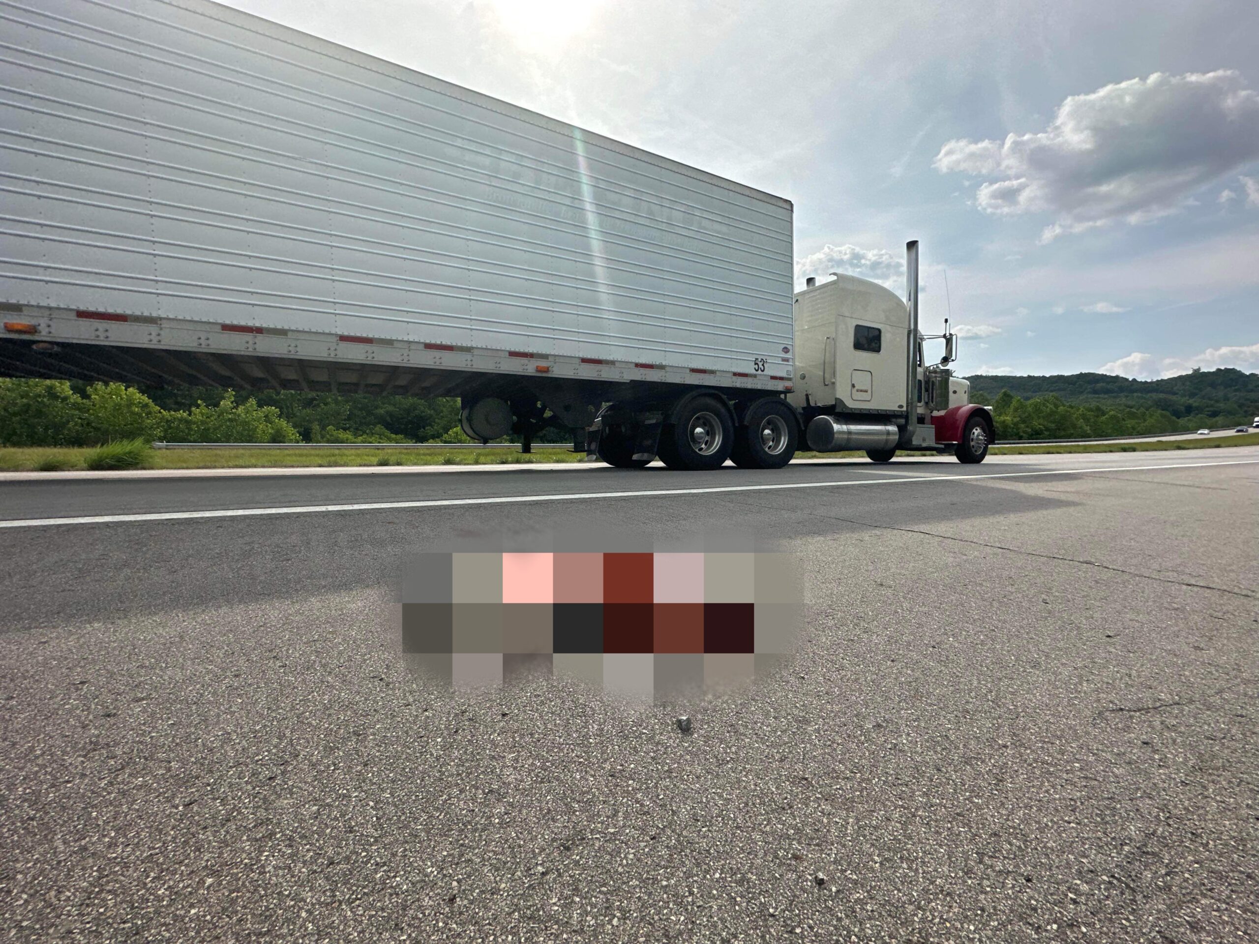 Pigs take flight: chaos unleashed as hauler drops swine on route 35 - Vimarsana News